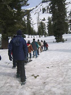 snowshoeing Nevada