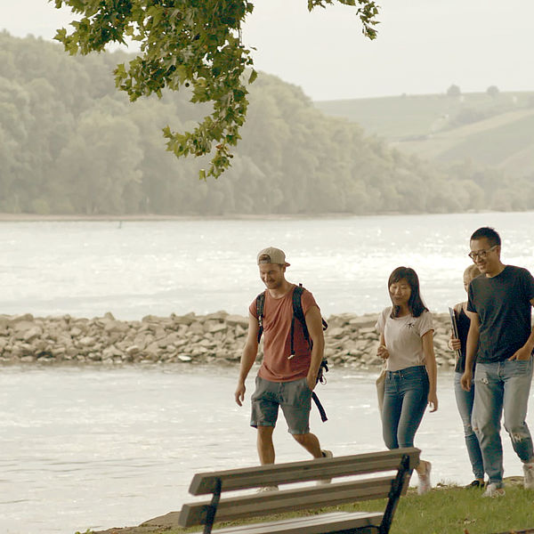 Eine Gruppe von deutschen und internationalen Studierenden läuft am Rhein entlang.