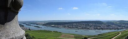 Rheinpanorama