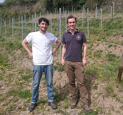 v.l.n.r.: Praktikant Antoine mit Jens Pape vom Weingut Graf von Kanitz