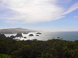 Mendocino coast
