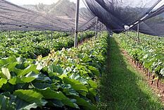 2002 Unterlagen Tutzer 4