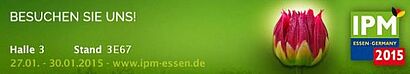 Banner IPM Essen