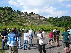 gruppe vor Weinbergen