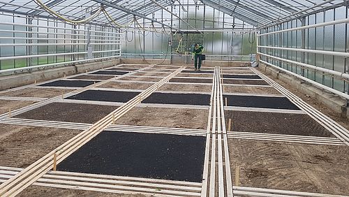 Experimental plots with and without biochar or vermicompost