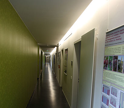 Büros und grüne Wand