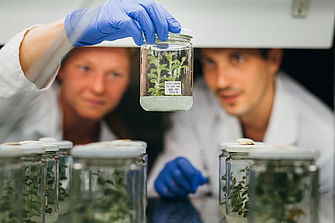 Zwei junge Menschen in Laborkittel und Handschuhen untersuchen Pflanzen in Gläsern.  © Hessen schafft Wissen / Steffen Boettcher