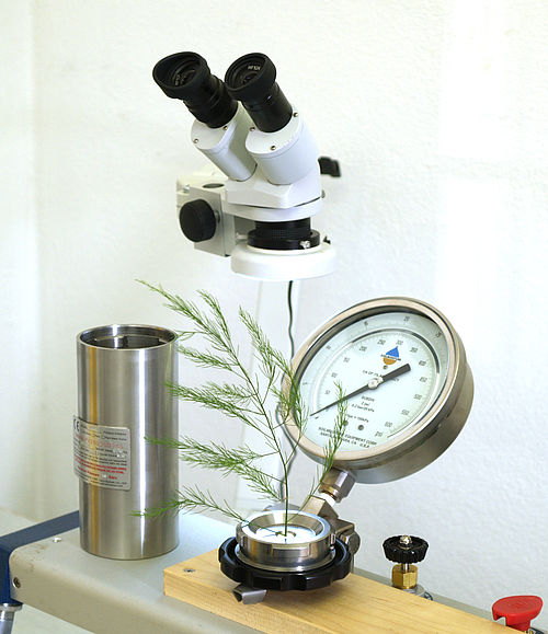 Scholander pressure chamber "PWSC", soilmoisture.com