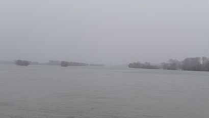 Rhein und Nebel