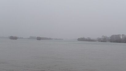 Rhein und Nebel
