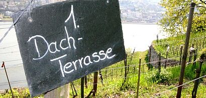 Schild mit der Aufschrift 1.dachterrasse 