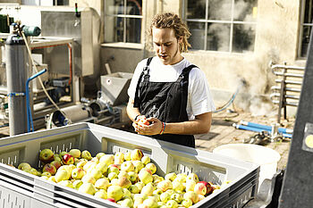 Ein junger Mann steht vor einem großen Container mit Äpfeln und schneidet einen Apfel auf. © Hessen schafft Wissen / Daniel Chassein