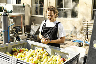 Ein junger Mann steht vor einem großen Container mit Äpfeln und schneidet einen Apfel auf. © Hessen schafft Wissen / Daniel Chassein