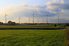 Windräder prägen die Landschaft – und stehen im Konflikt mit dem Naturschutz © Hochschule Geisenheim