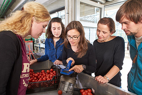 Eine Dozentin erklärt Studierenden ein Gerät zur Bestimmung der Qualität von Tomaten. © Hochschule Geisenheim / pps-studios.com