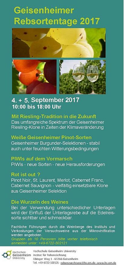 Einladung mit Trauben und Wein als Bildanteil sonst gelber und weisser Textanteil