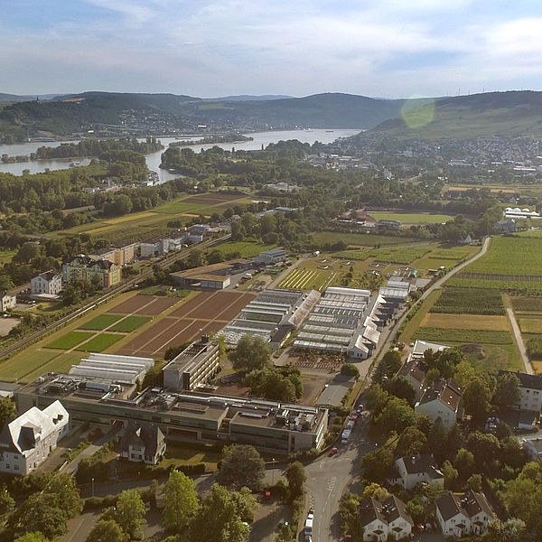 Luftaufnahme des Geländes der Hochschule Geisenheim. © Hochschule Geisenheim