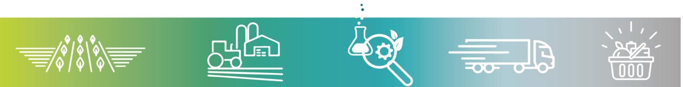 Wertschöpfungskette