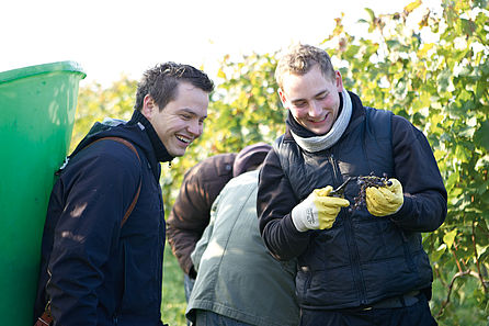 Zwei junge Männer lachen bei der Lese im Weinberg gemeinsam. © Hochschule Geisenheim / pps-studios.com