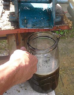 leckerer frischer Zukerrohrsaft