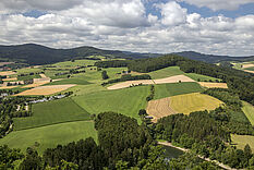 Mittelgebirgs-Lanschaft mit Land-, Forst- und Tourismuswirtschaft © Hochschule Geisenheim