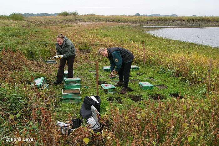 Zum Naturschutz gehört Geländearbeit dazu. © Hochschule Geisenheim