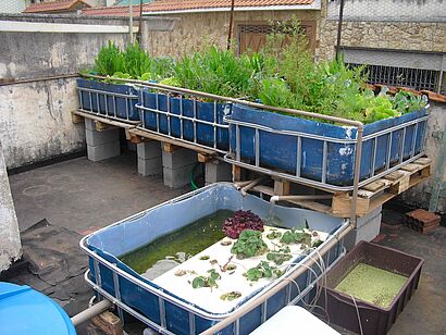 Das ganze System (Fischtank nicht im Bild)