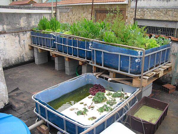 Das ganze System (Fischtank nicht im Bild)