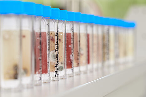 Lebensmittelsicherheit