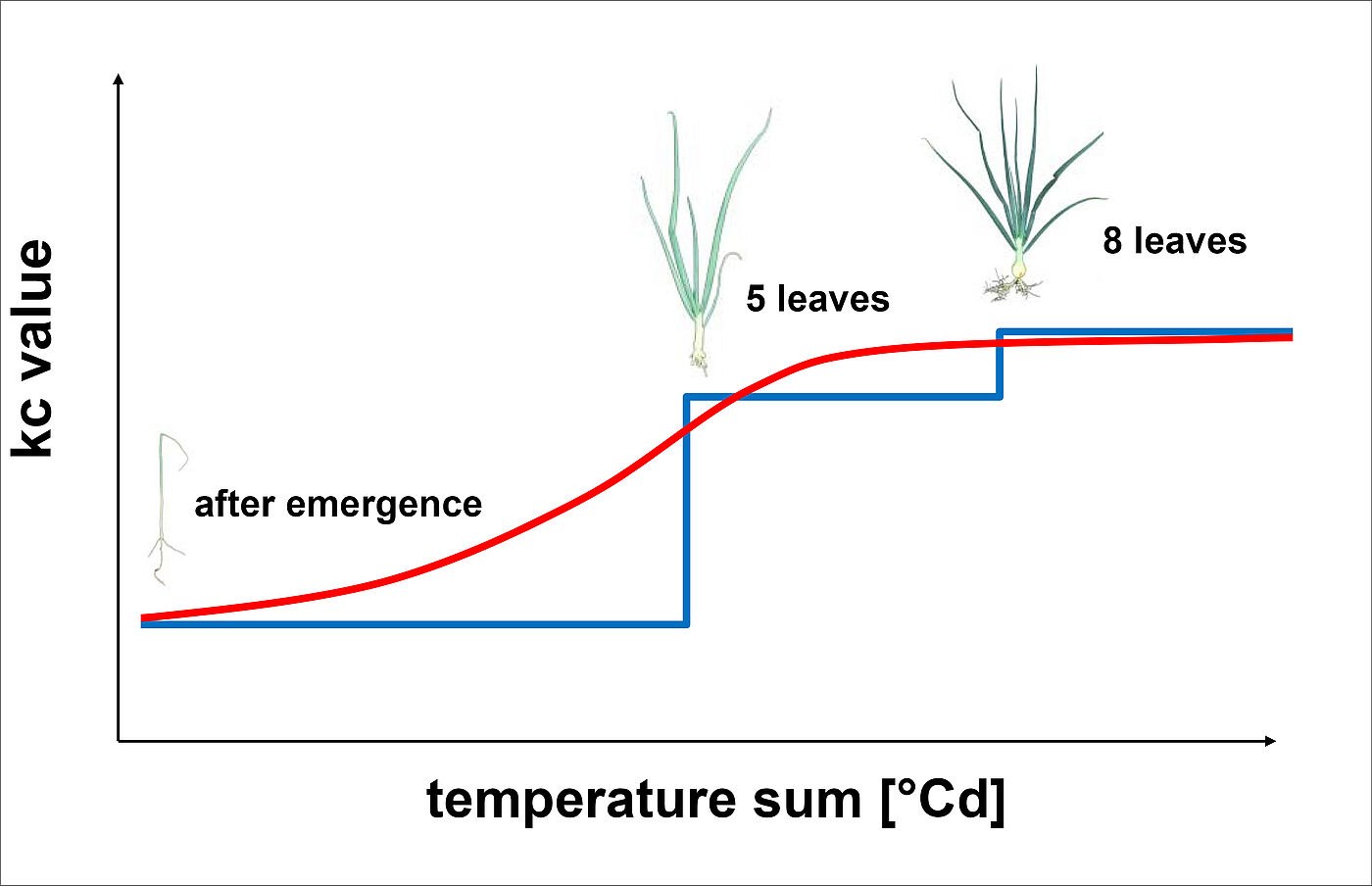 Fig. 1: Schematic representation of the previous kc step function and the new kc temperature sum model for onion 