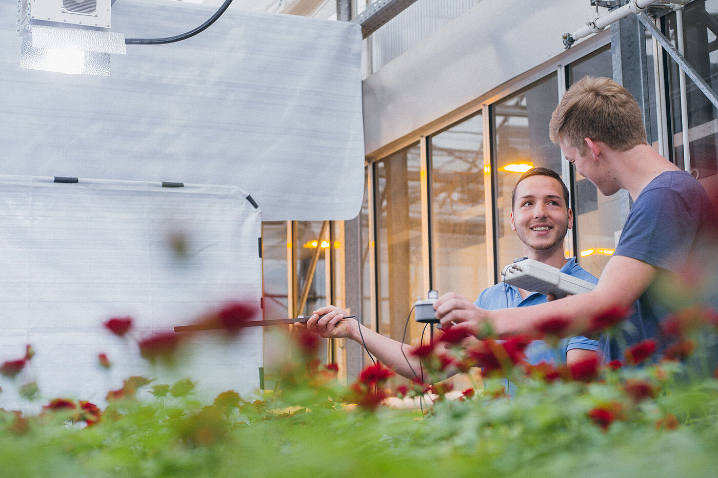 Zwei junge Männer stehen neben Rosen, die unter einer hellen Lampe stehen und führen Messungen durch © Hessen schafft Wissen – Steffen Böttcher 