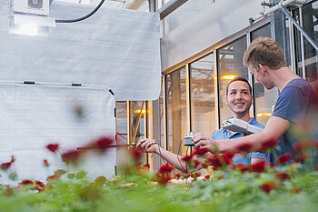 Zwei junge Männer stehen neben Rosen, die unter einer hellen Lampe stehen und führen Messungen durch © Hessen schafft Wissen – Steffen Böttcher 