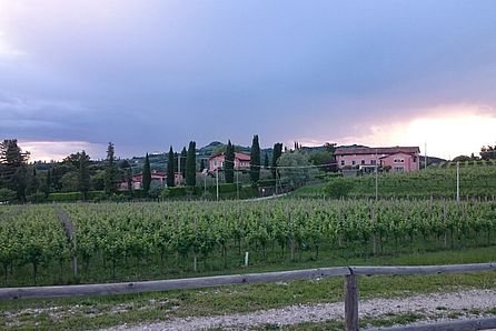 Landschaft in Friaul, Italien © Hochschule Geisenheim