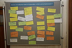 Grünes Geisenheim – Lebendige Perspektiven für unsere Hochschulstadt