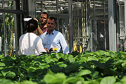 Dreh im Gewächshaus