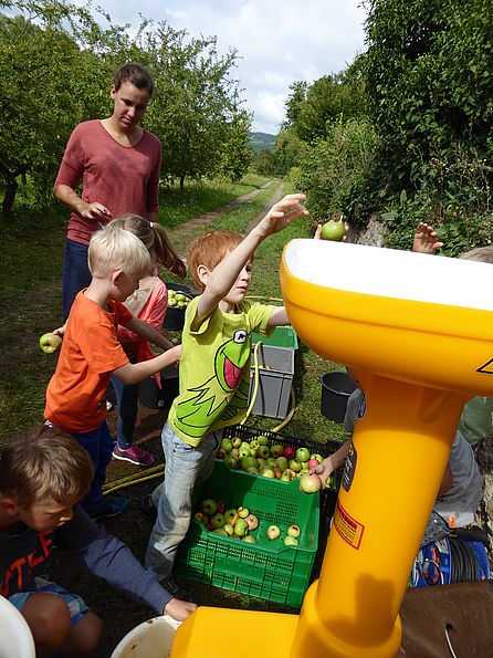 Kinder helfen bei der Apfelernte