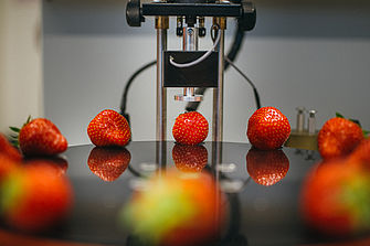 Erdbeeren liegen auf einer runden, schwarzen Platte in einem Labor.  © Hessen schafft Wissen / Steffen Boettcher