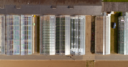 Luftbild von Gewächshäusern. © Hochschschule Geisenheim