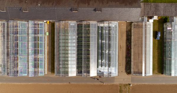 Luftbild von Gewächshäusern. © Hochschschule Geisenheim