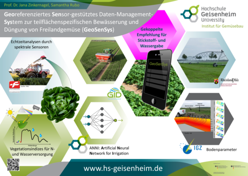 Georeferenziertes Sensor-gestütztes Daten-Management-System zur teilflächenspezifischen Bewässerung und Düngung von Freilandgemüse