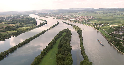 Luftbild des Rheins mit Auen und kleinen Städten. © Hochschule Geisenheim