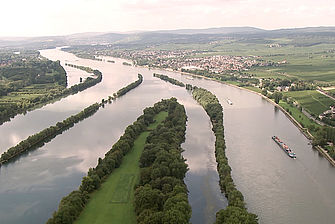 Luftbild des Rheins mit Auen und kleinen Städten. © Hochschule Geisenheim