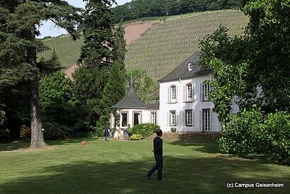 weisses Haus und grosser Garten, in dem ein Mann läuft 