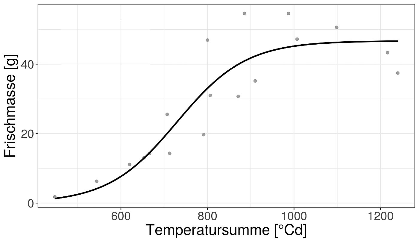 Abb. 5: Frischmasse-Entwicklung von Zwiebel 'Summit' (Bejo) mit Wachstumsfunktion