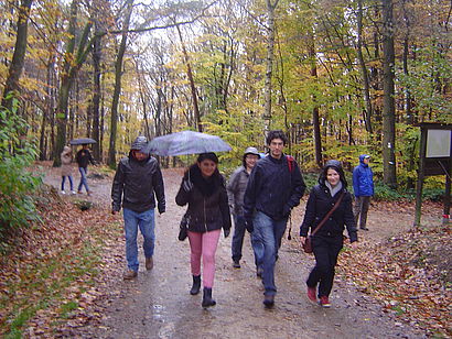 Studenten spazieren im Wald