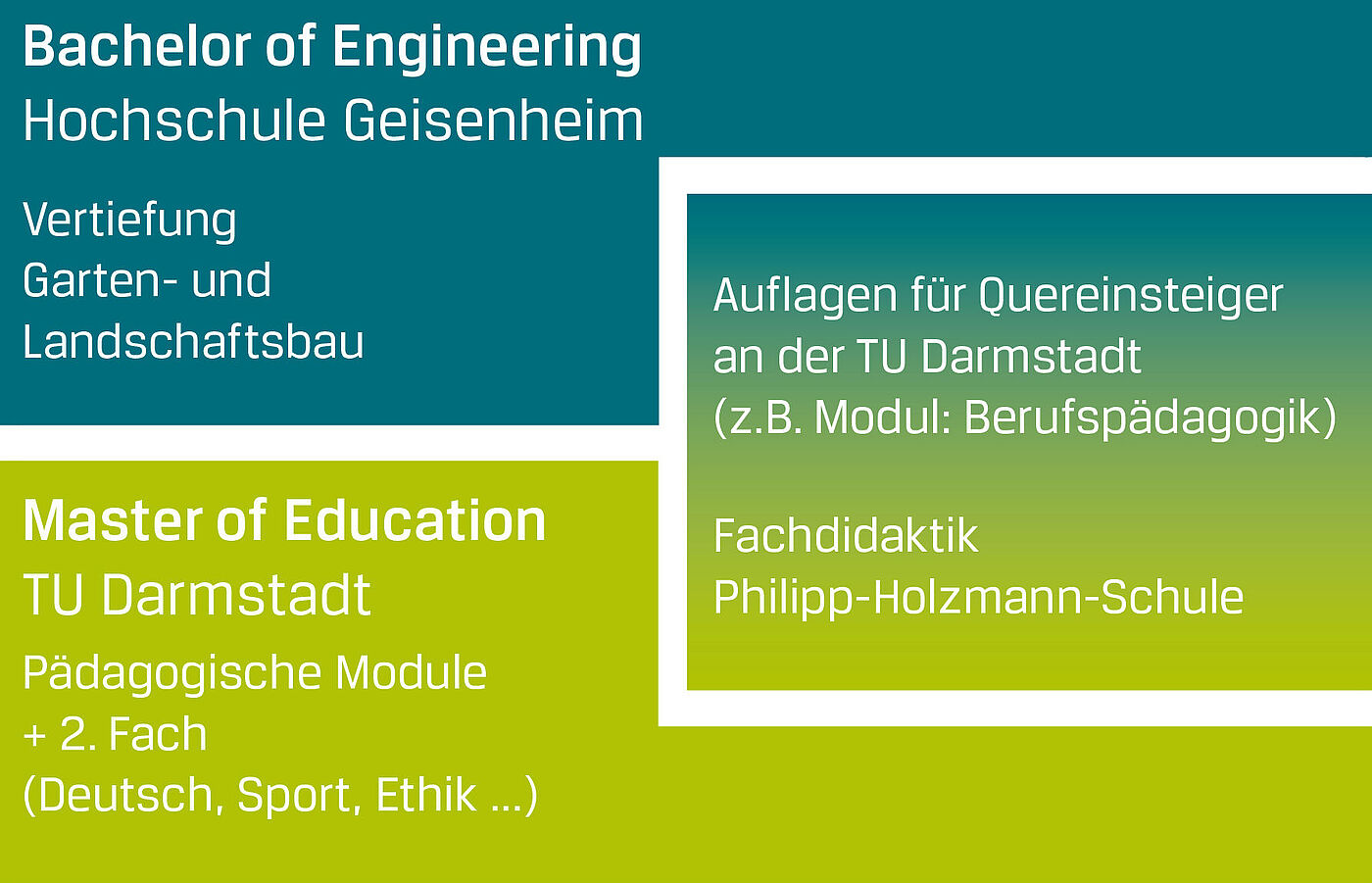 Schematische Darstellung des Ablaufs "Lehramtsstudium GaLaBau" © Hochschule Geisenheim