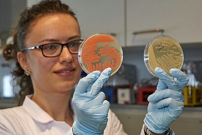 Studentin schaut gefüllte Reagenzgläsern an