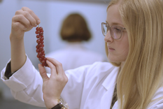 Eine junge Frau im weißen Laborkittel zupft einzelne Johnnisbeeren von einer Rispe. © Hochschschule Geisenheim