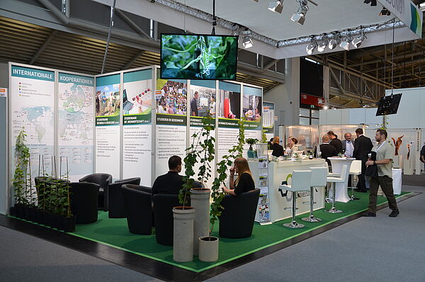 Stand der Hochschule