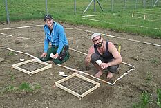 Freiland-Nutzungsexperiment zur Renaturierung von Arnika © Hochschule Geisenheim